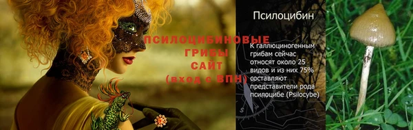 стаф Алексин