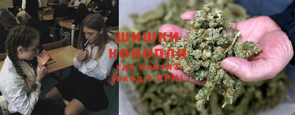PSILOCYBIN Нязепетровск