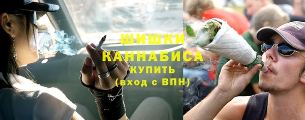 Альфа ПВП Няндома