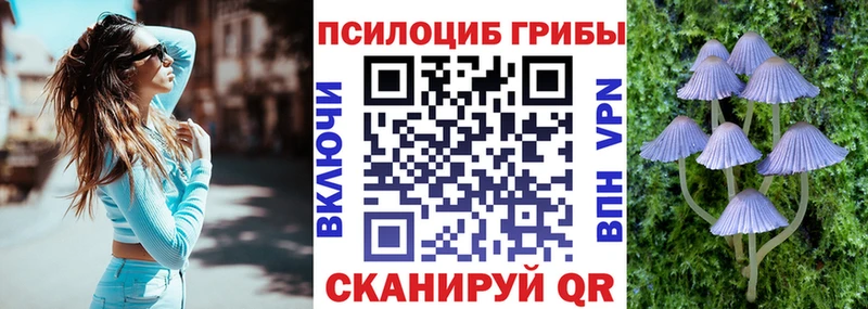 Галлюциногенные грибы GOLDEN TEACHER купить наркоту Артём